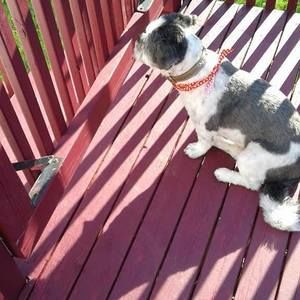 Meet your Posher, Linda